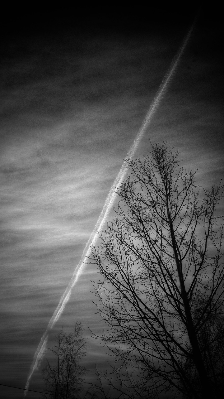 monochrome