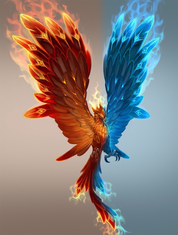 3D image