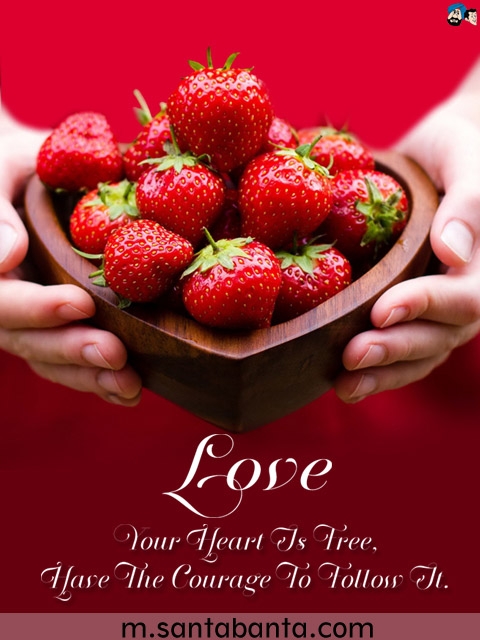 love