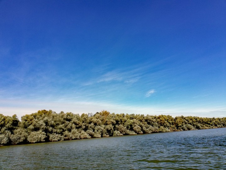 Danube Delta