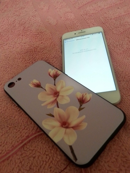 phone