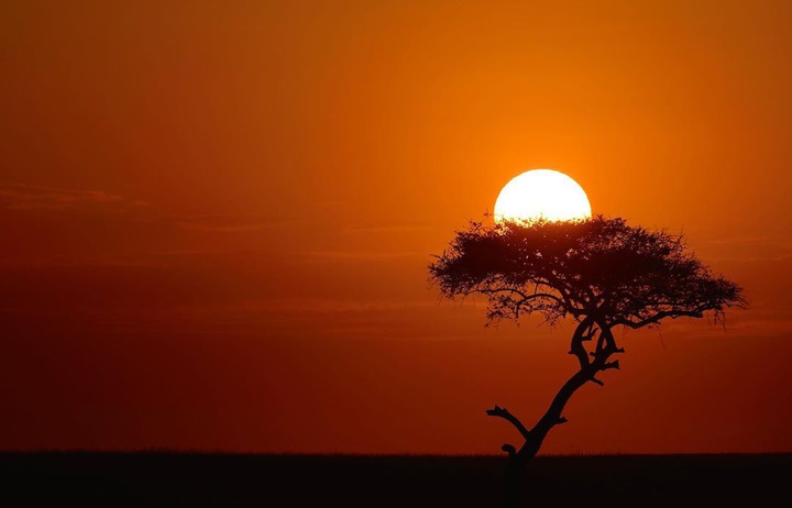 sunset