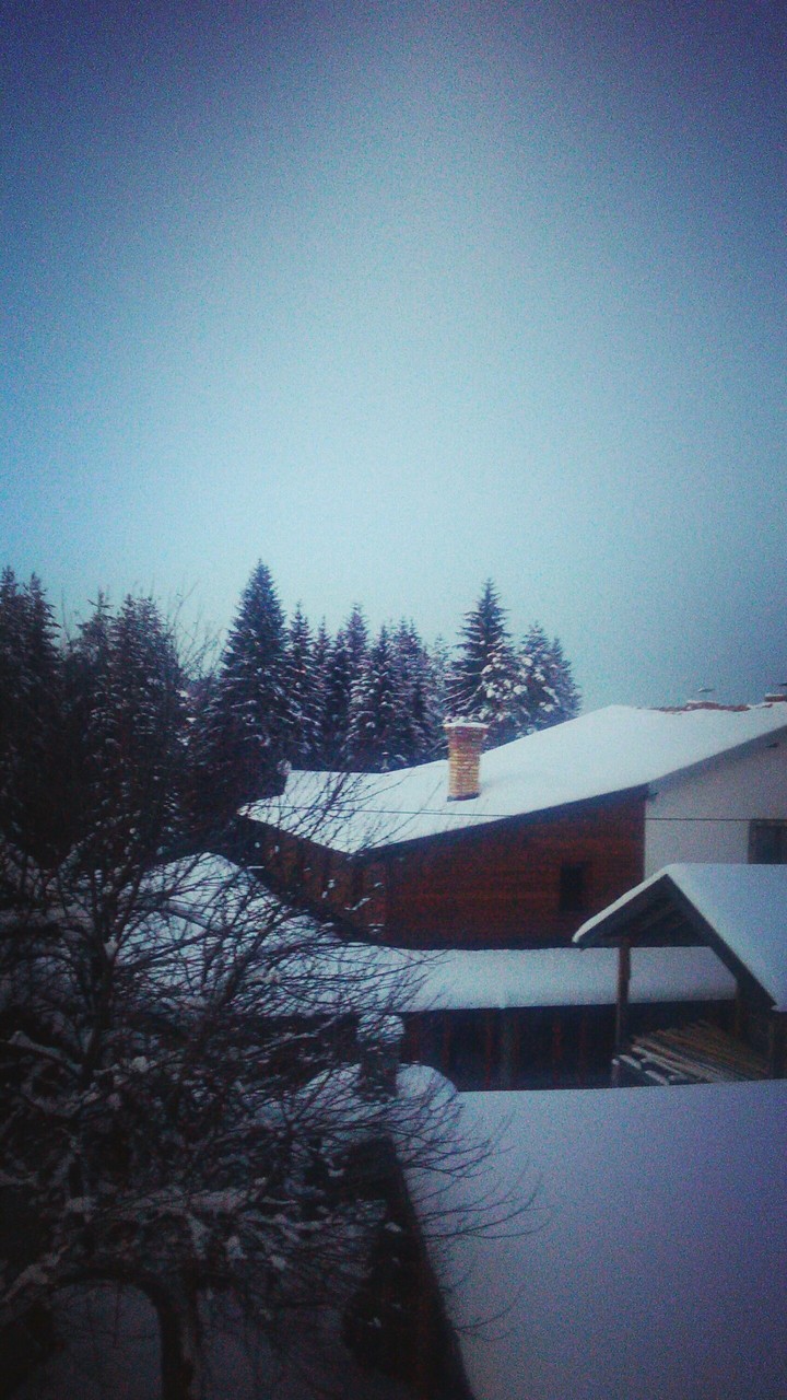 Natur