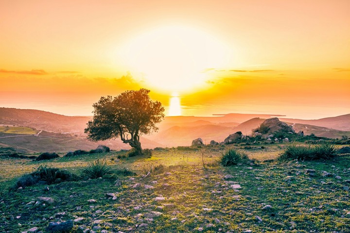 sunset
