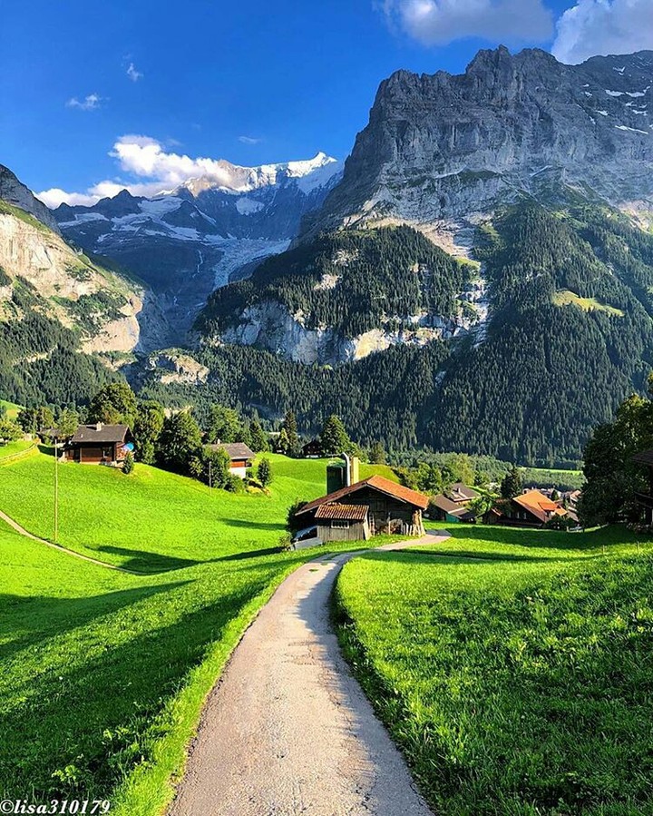 Lush mountains