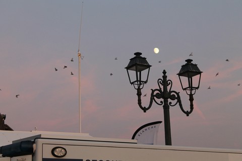 Lune