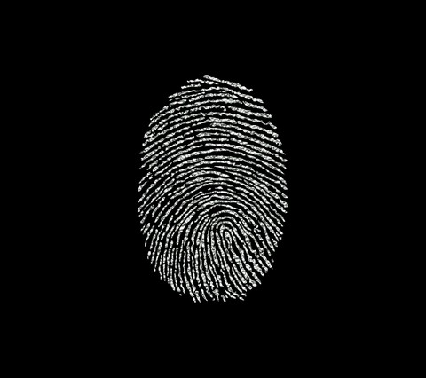 fingerprints