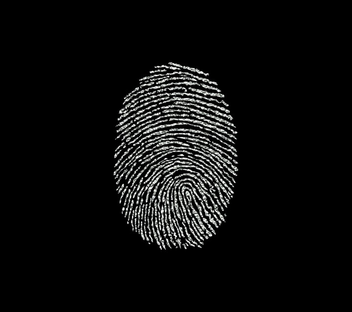 fingerprints