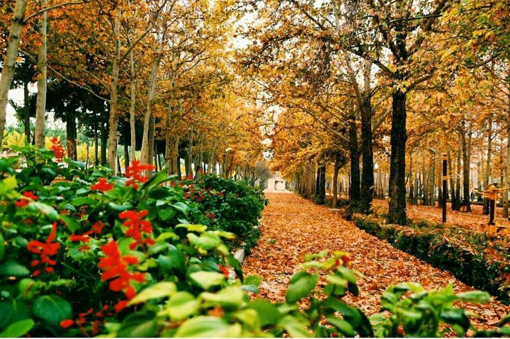 Autumn