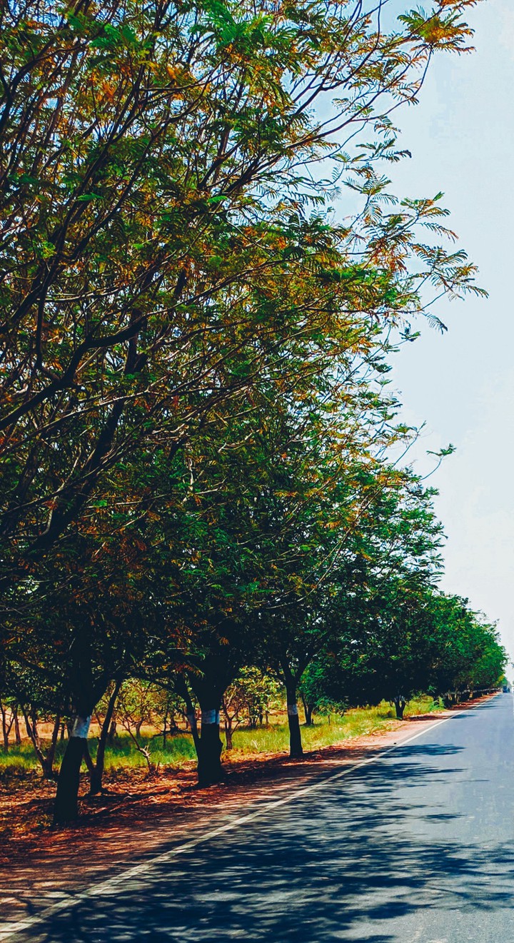 Long Trip