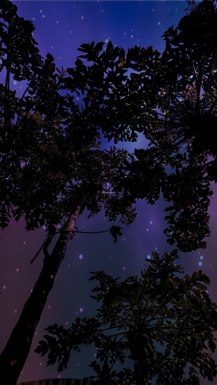 cosmic tree
