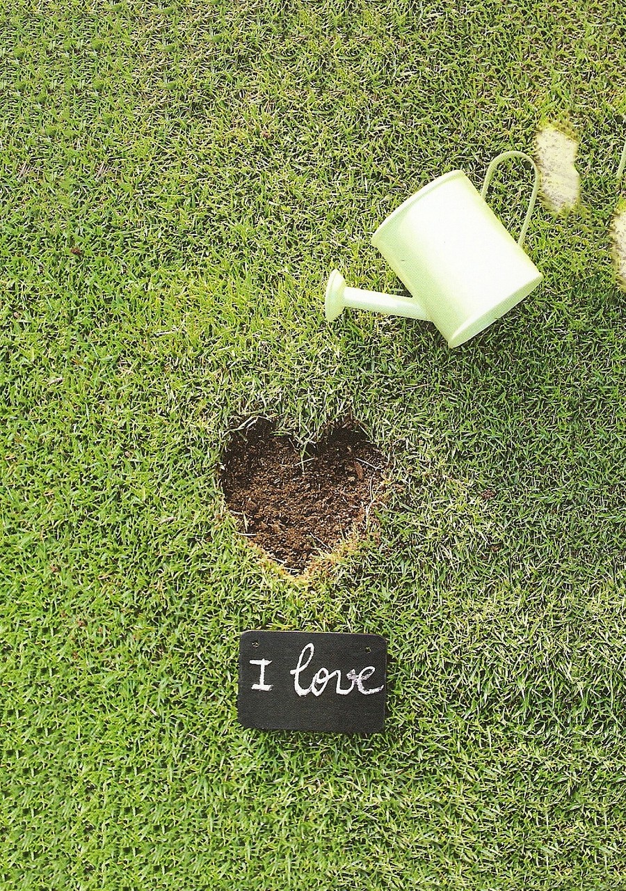 Hearts
