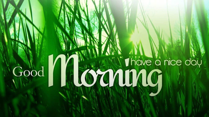 Good Morning