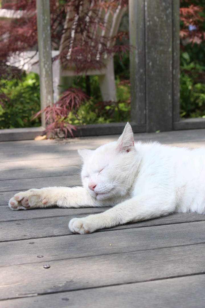 Nap Time