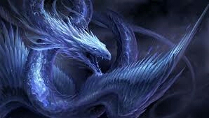 Blume Dragons