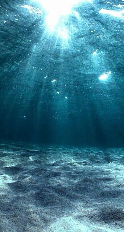 underwater world