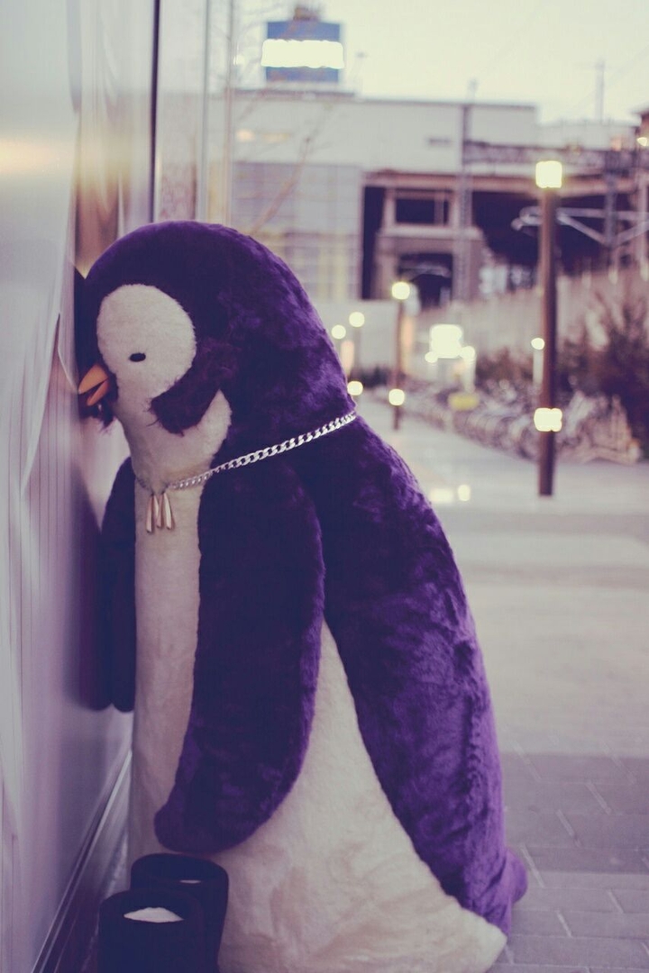 upset