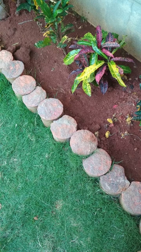 grass and stones