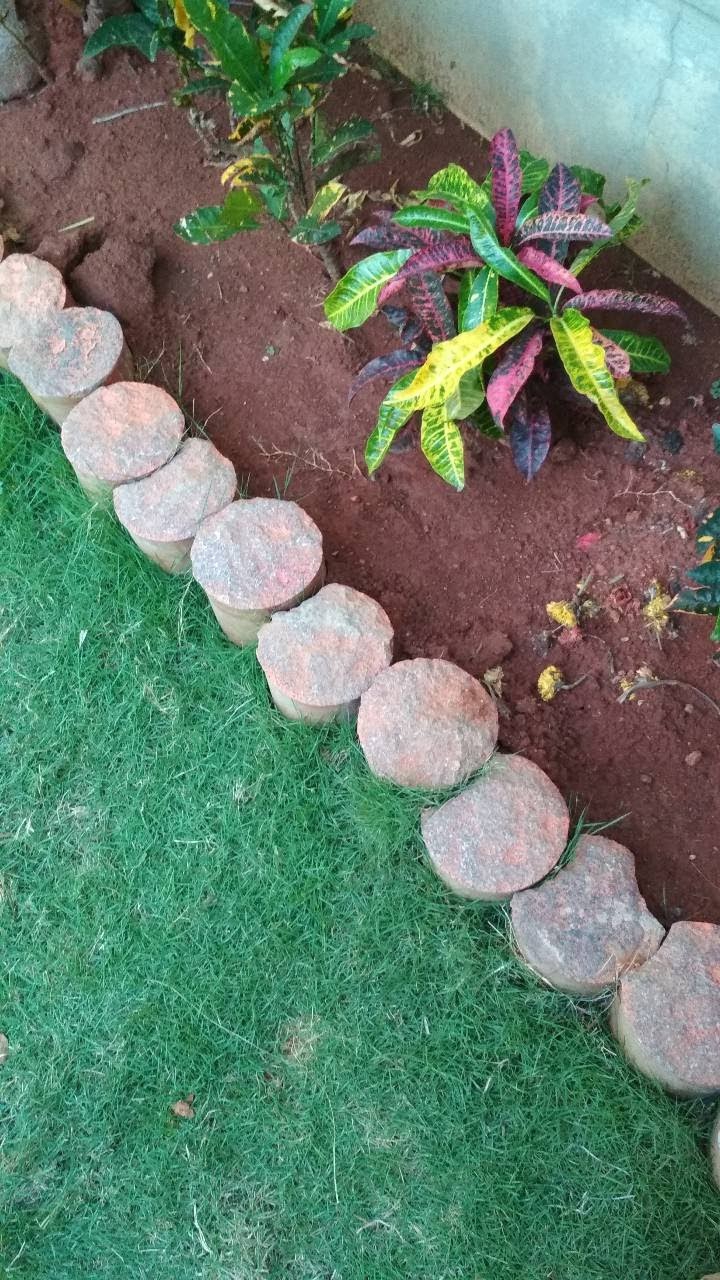 grass and stones