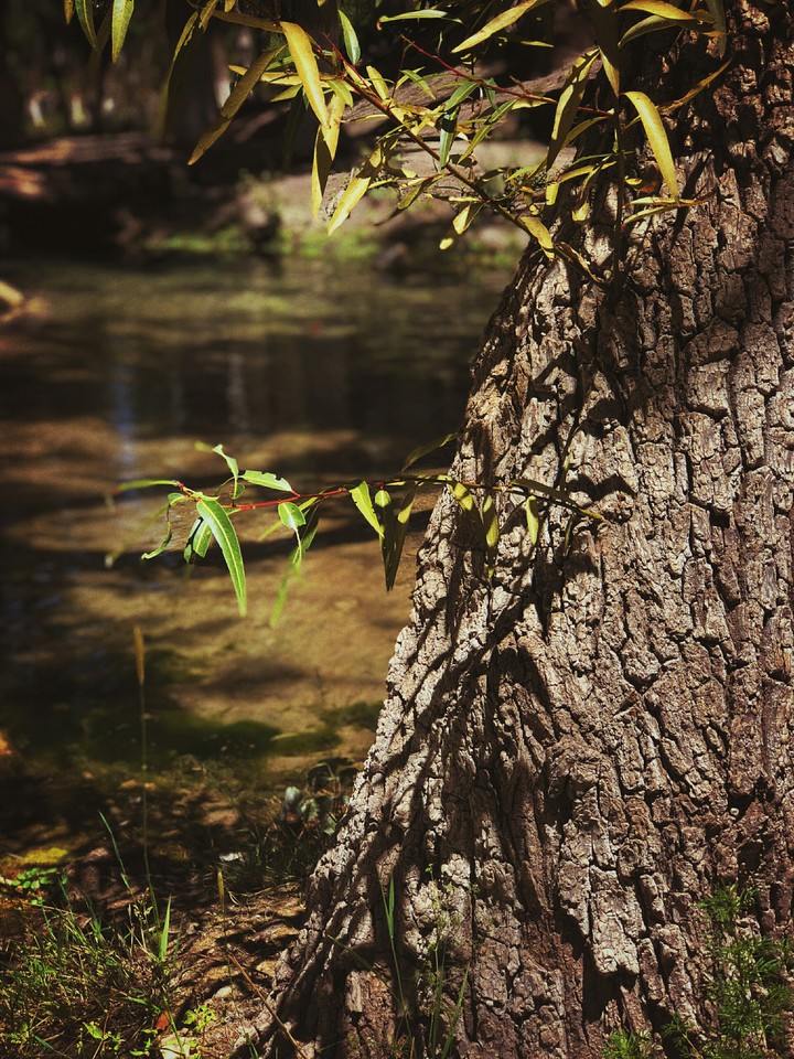 Nature.