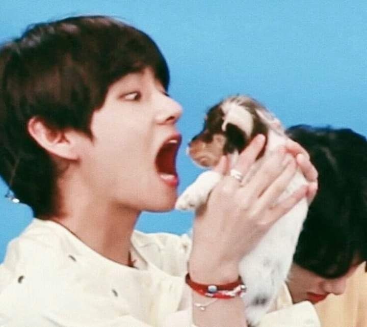 뷔.태태.bts
