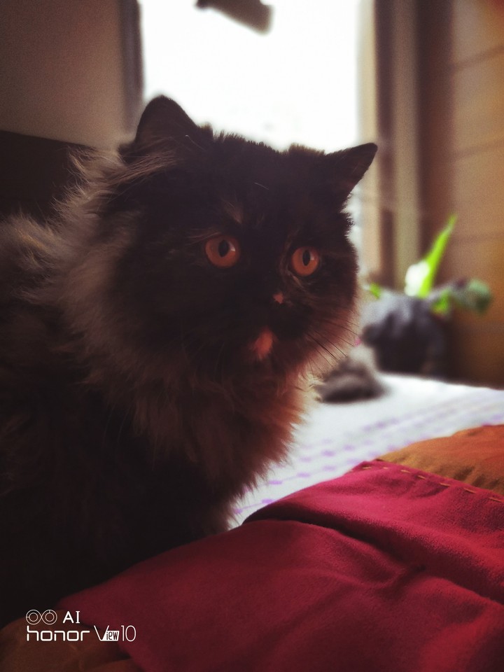 kiara