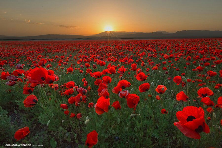 a beautiful sunset