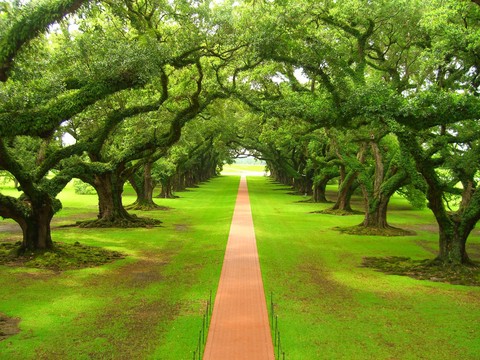 Nature