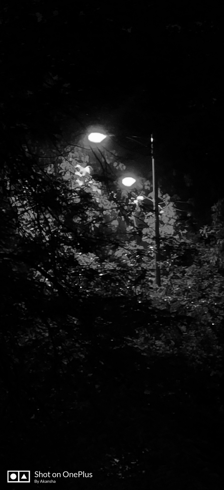 shadow of dark