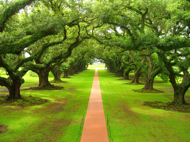 Nature