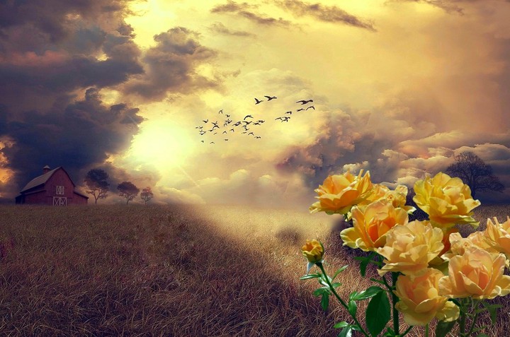sunset