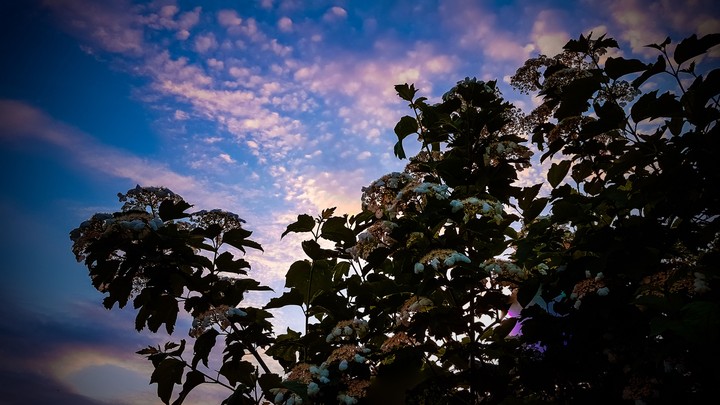 sky