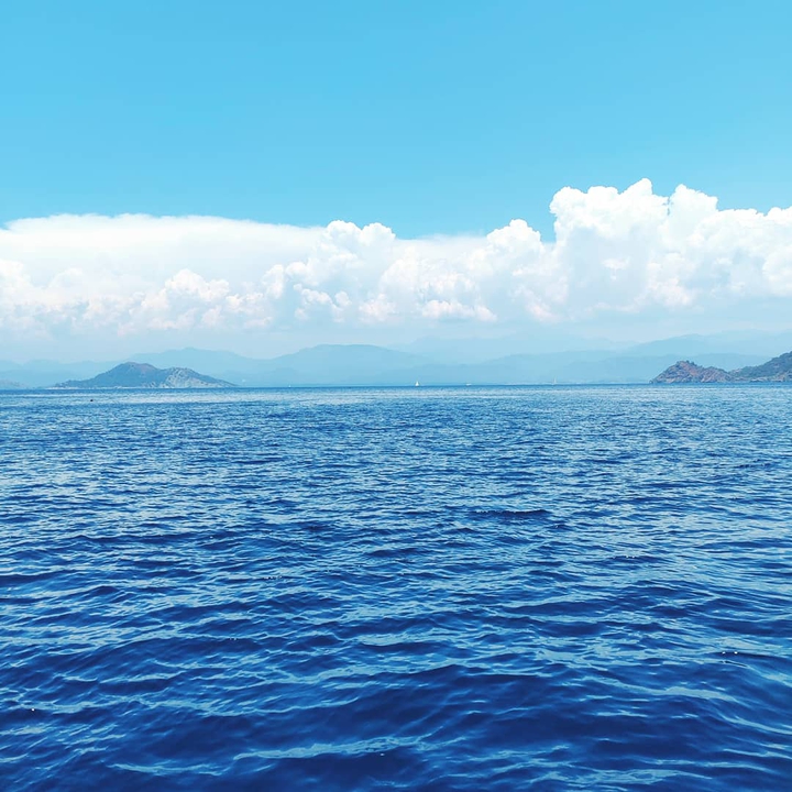 blue sea