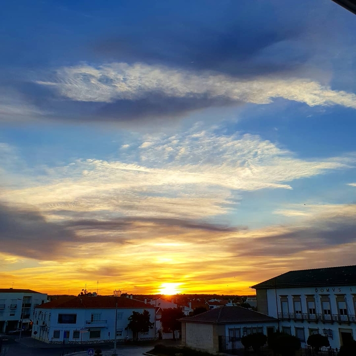 sunvibes