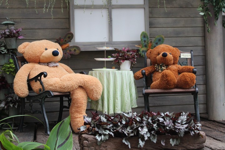 Friendly Neighbors