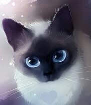 Котя)))