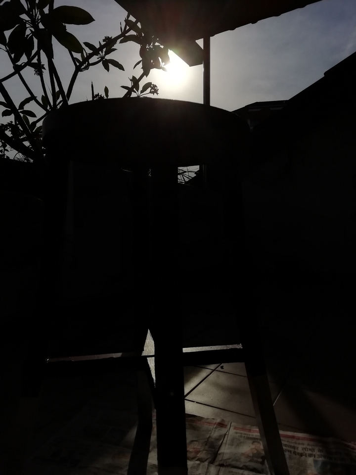 sunlight