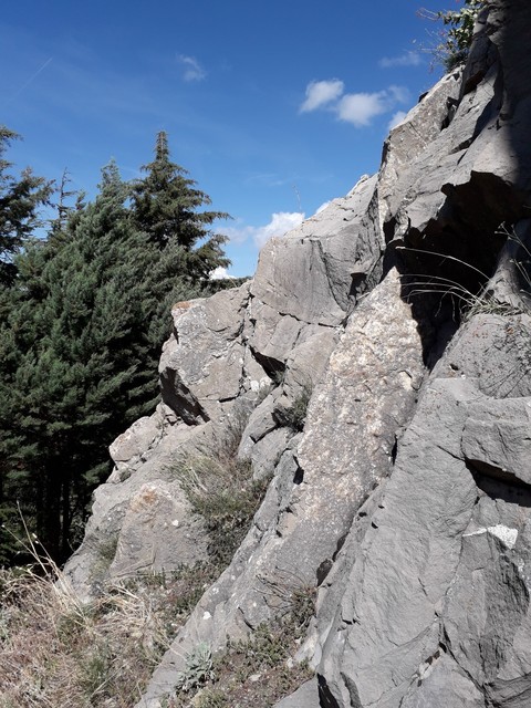 SanFele