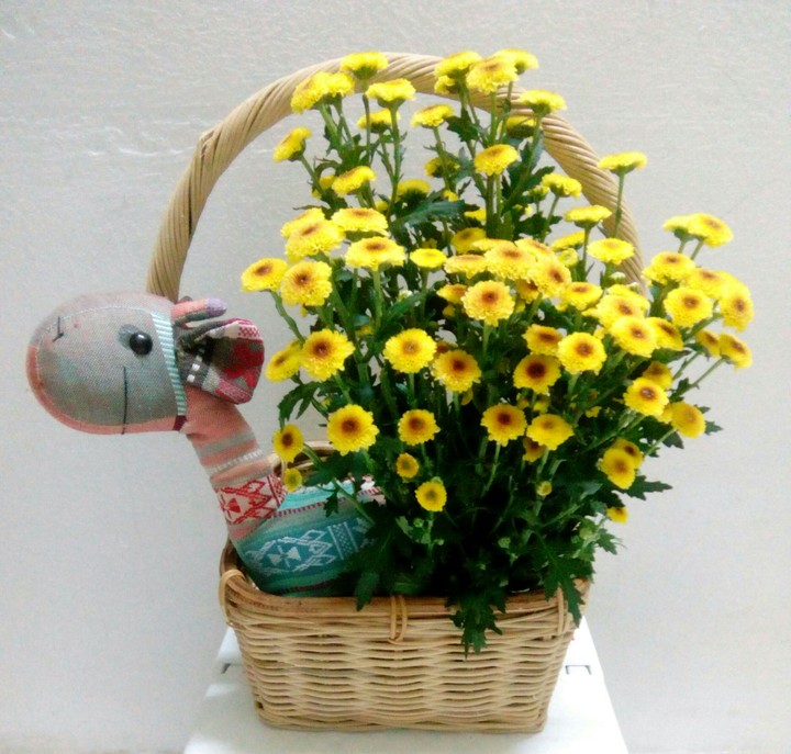 flowers