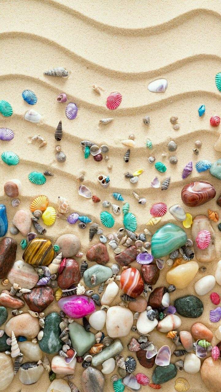 Shells