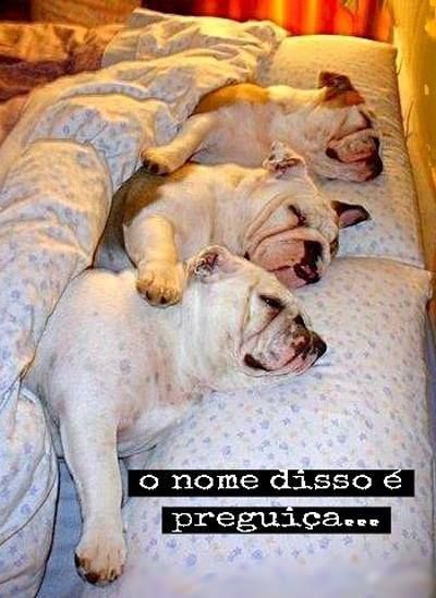 Para meus amigos curtirem bjs.