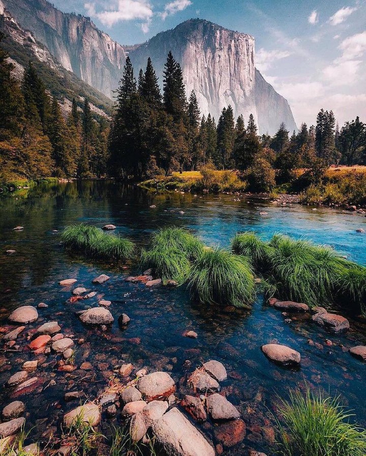 scenary