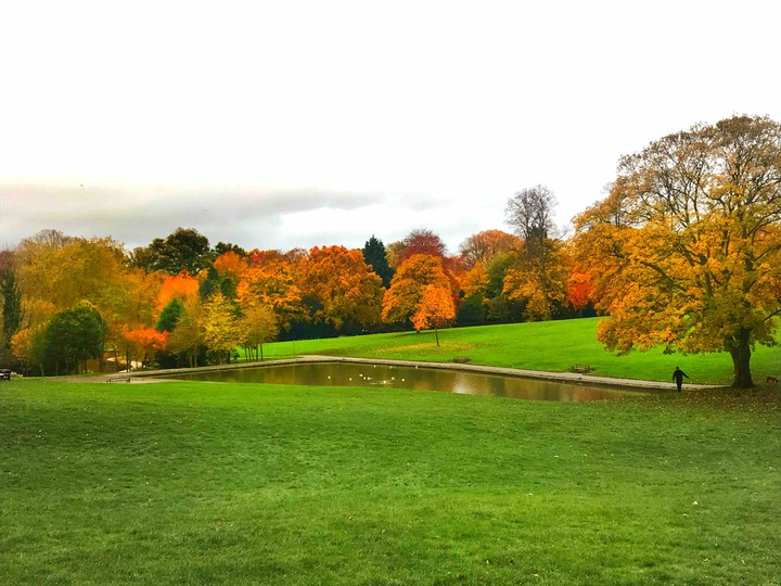 Autumn