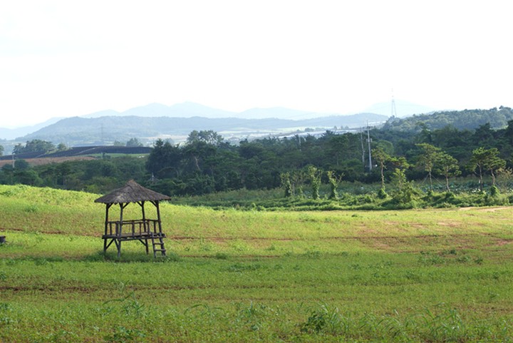 Gazebo