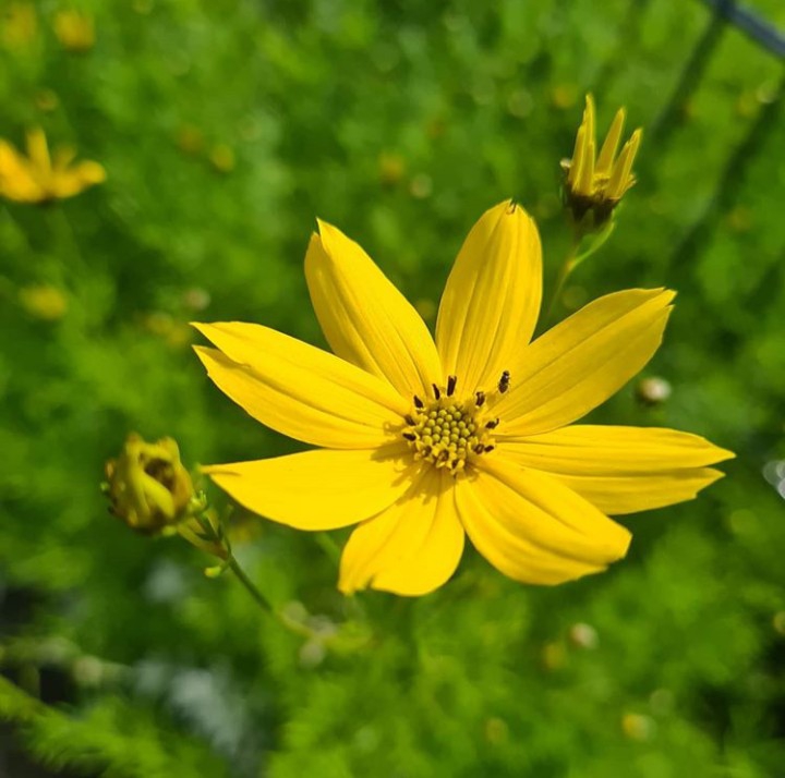 ღ✿◠‿◠✿ღ