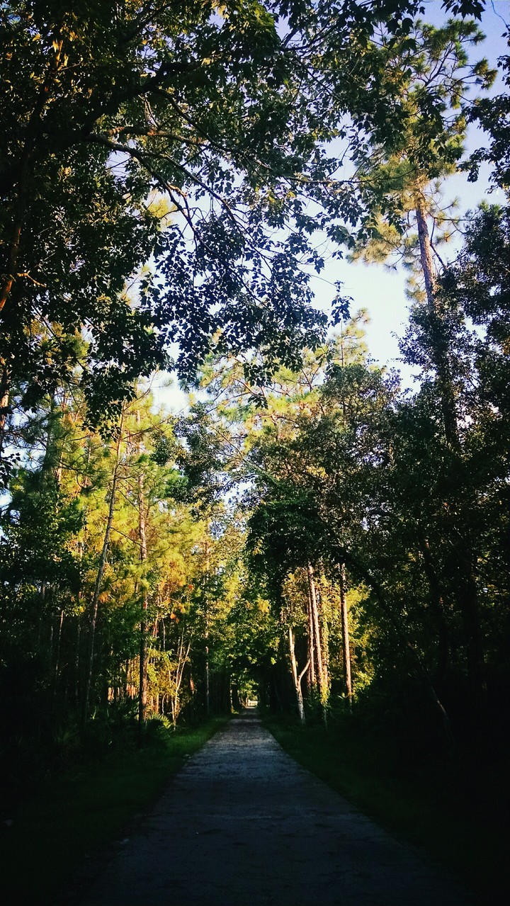 Running trail at sunset