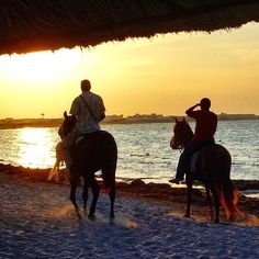 Horse riding on the beach at sunset Djerba
