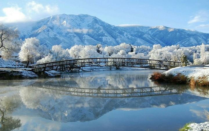 reflection. .