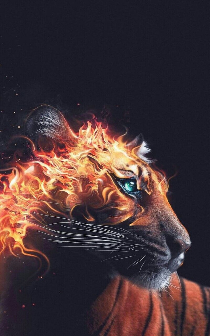 Wonderful tiger