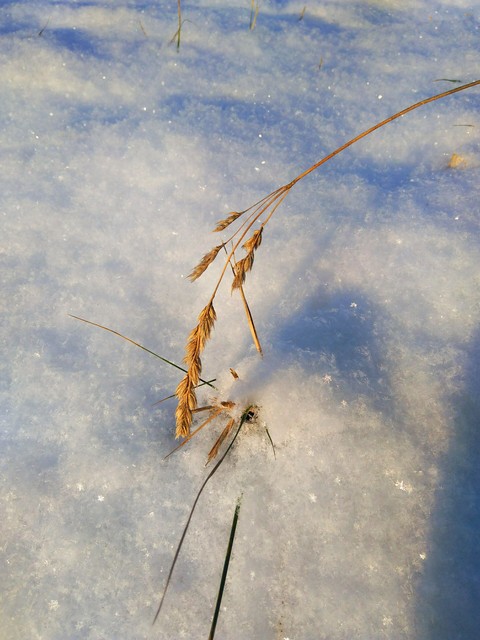 Frost und die Sonne :) :) :)